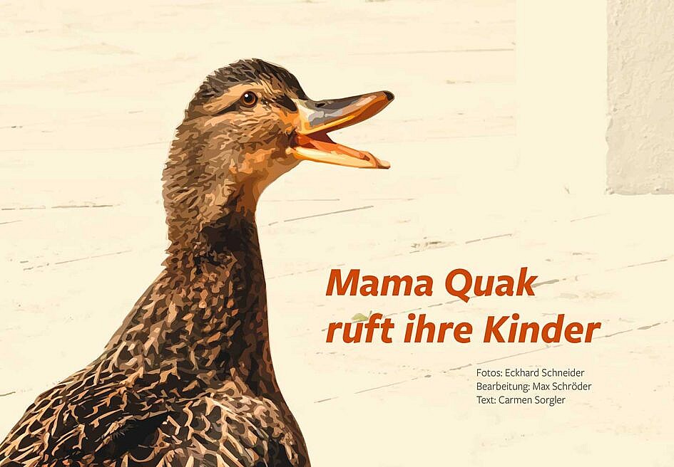 Mama Quak Titel